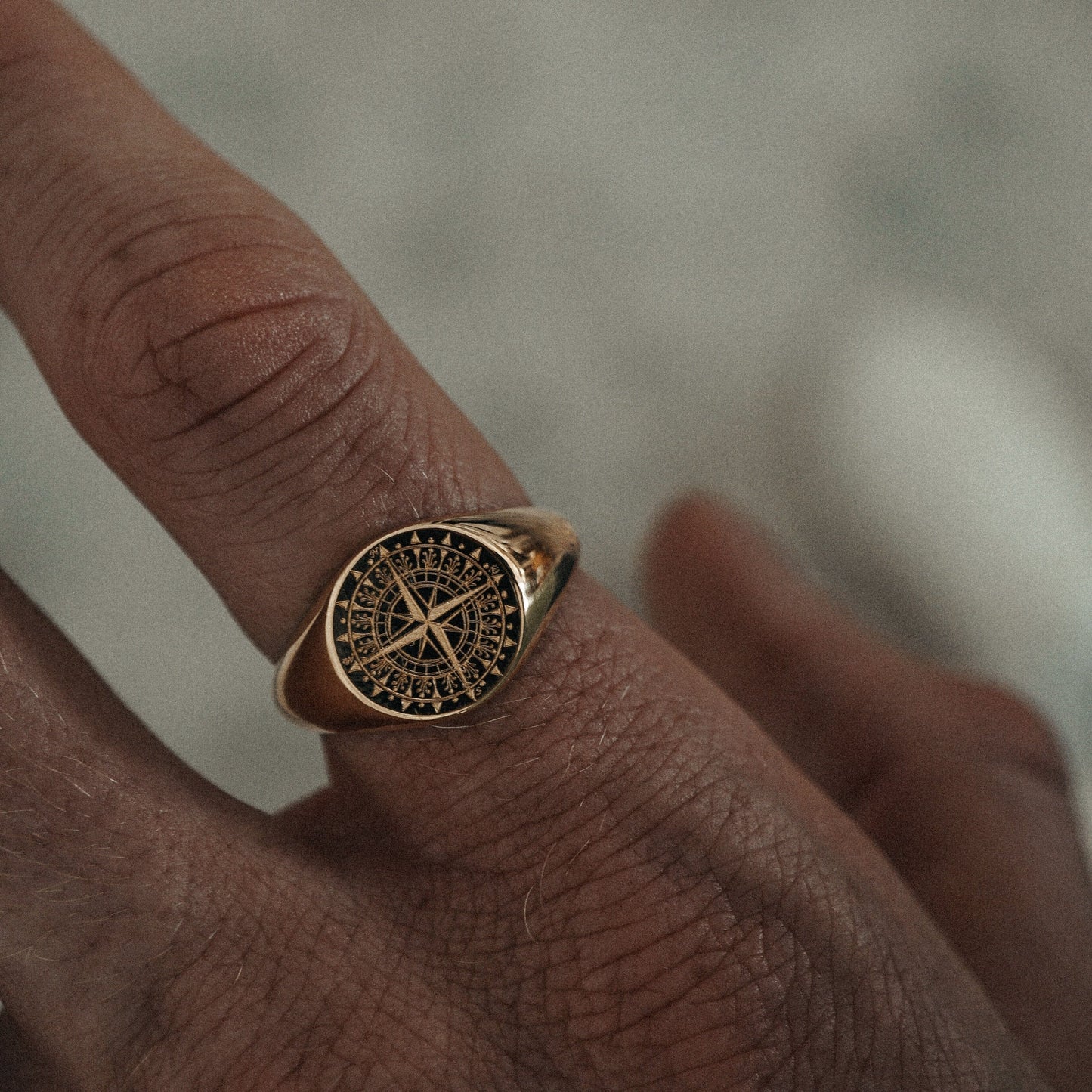 Navigator's Compass